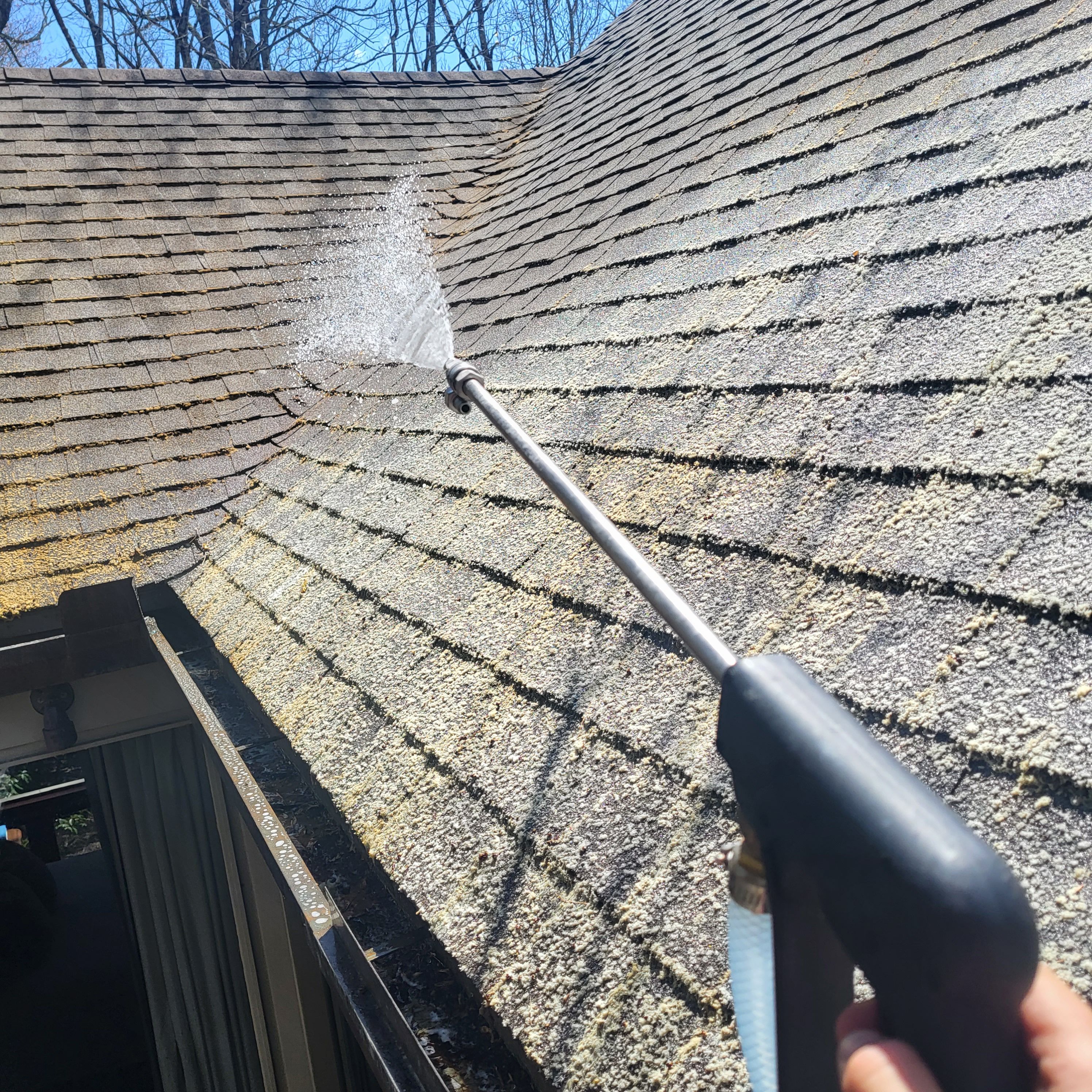 Asphalt Roof Softwashing Service